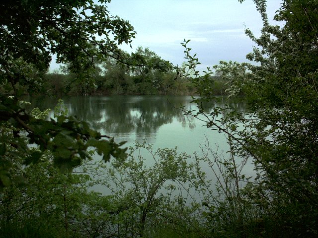 Angelweiher