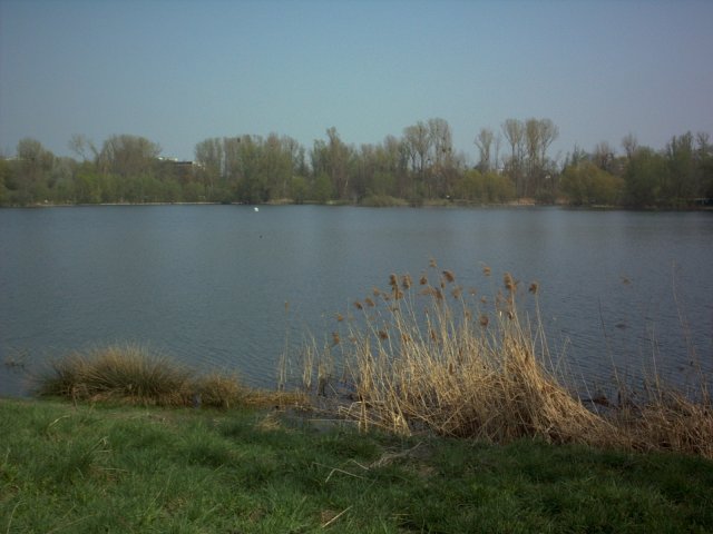 Jaegerweiher