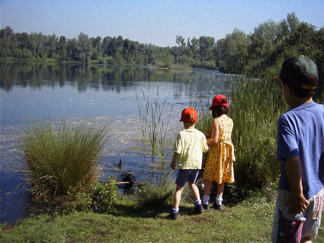 Jaegerweiher