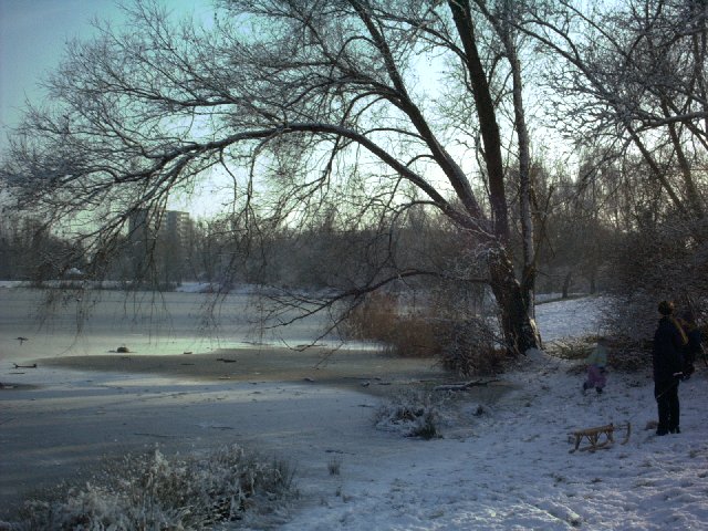 Winterimpressionen