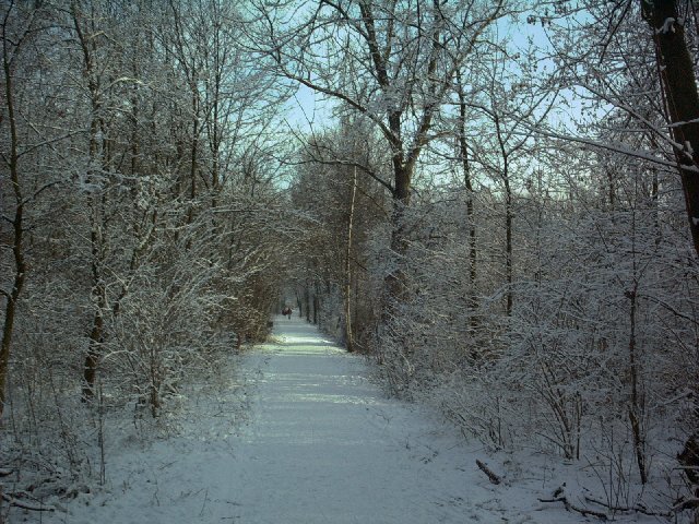 Winterimpressionen